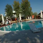 Alfieri Ruvo di Puglia
