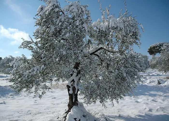 Bed & Breakfast Alfieri