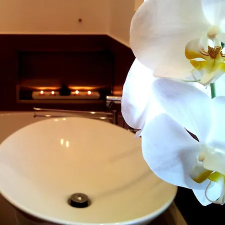 Couette-café Alfieri